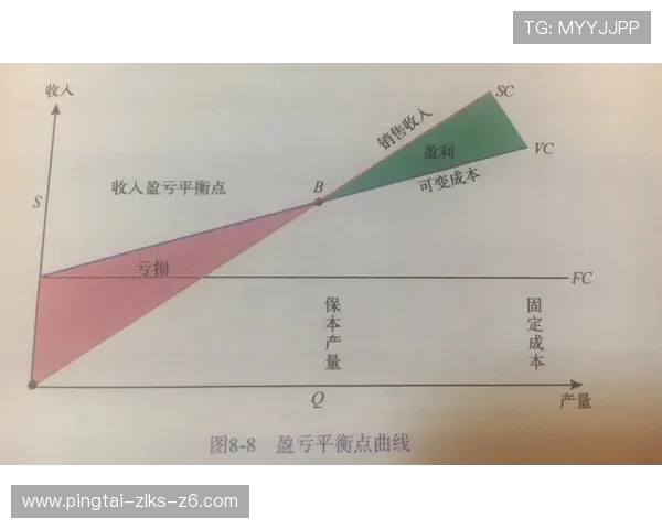 尊龙用现金玩一下：详细分析他在游戏中投资策略与盈利技巧